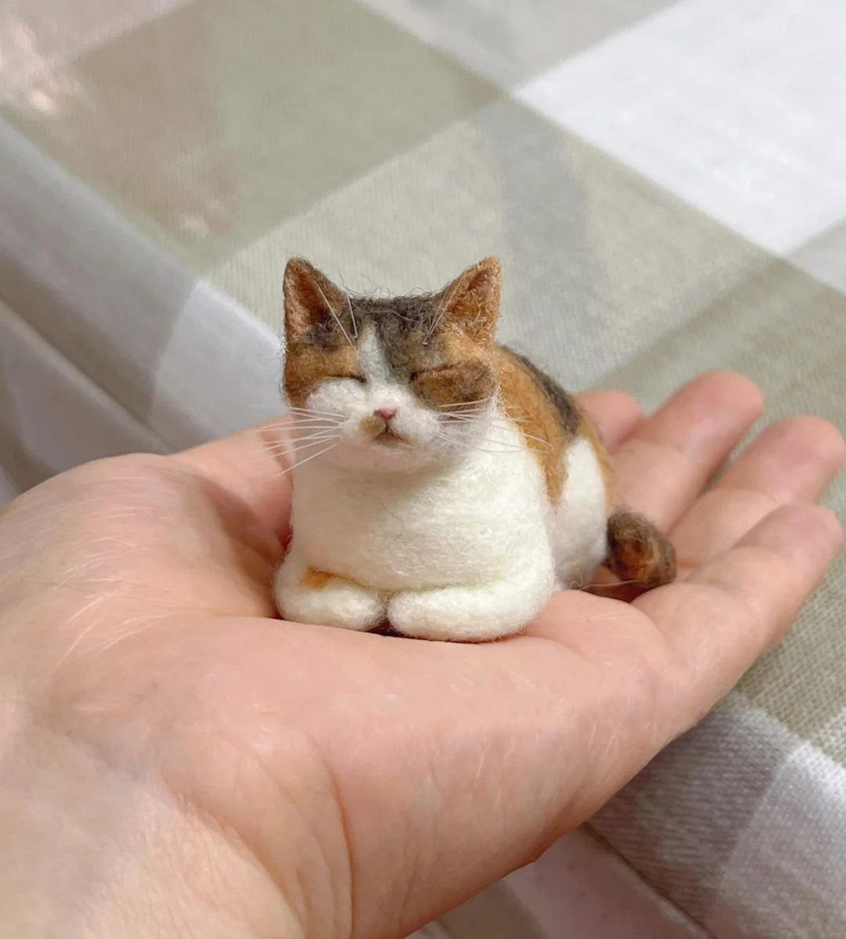 Gifts for Cat Lovers That Truly Wow