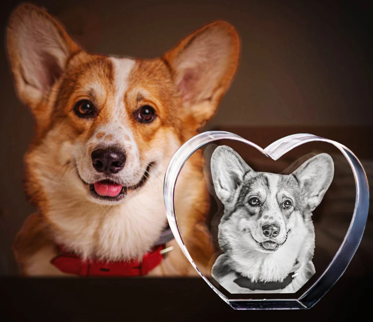 The Emotional Power of Pawimprint 3D Pet Crystals as Memorial Gifts