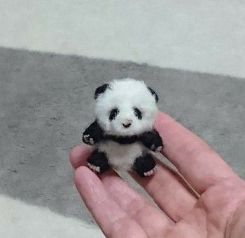 Personalized Cat Ornament Gifts