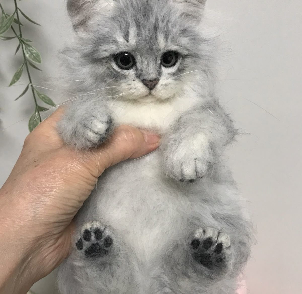 Custom-made pet wool felt, in various poses