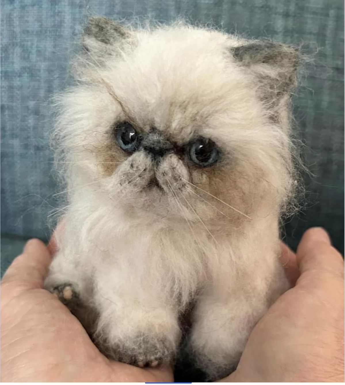 Pawimprint’s Complete Guide to Planning a Pet Memorial