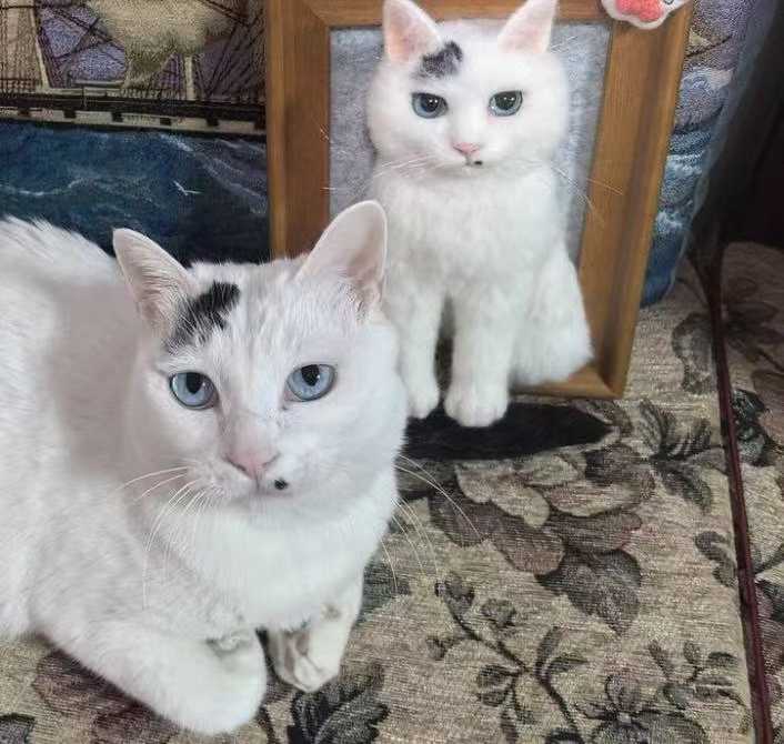 Custom Wool Pet Portrait Process