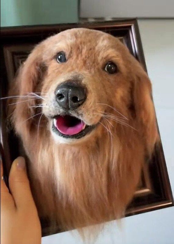 Customized Pet Wool Felt Portraits