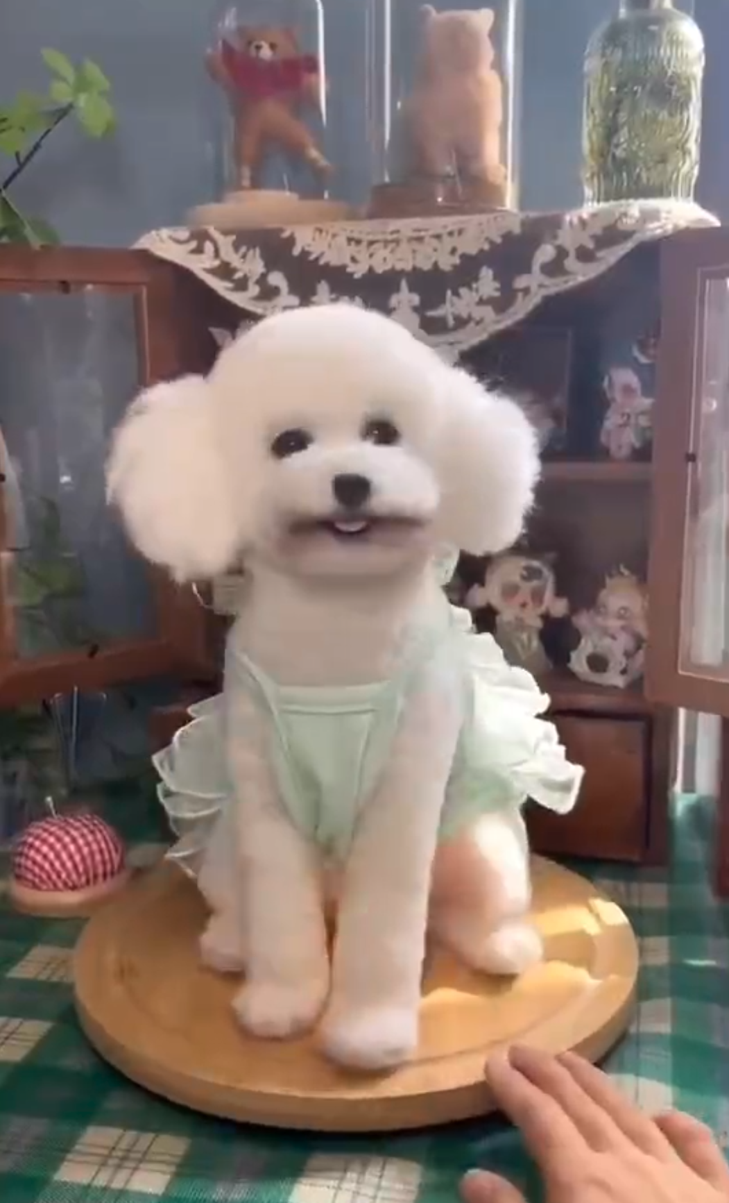 Materials for Realistic Felt Pet Art