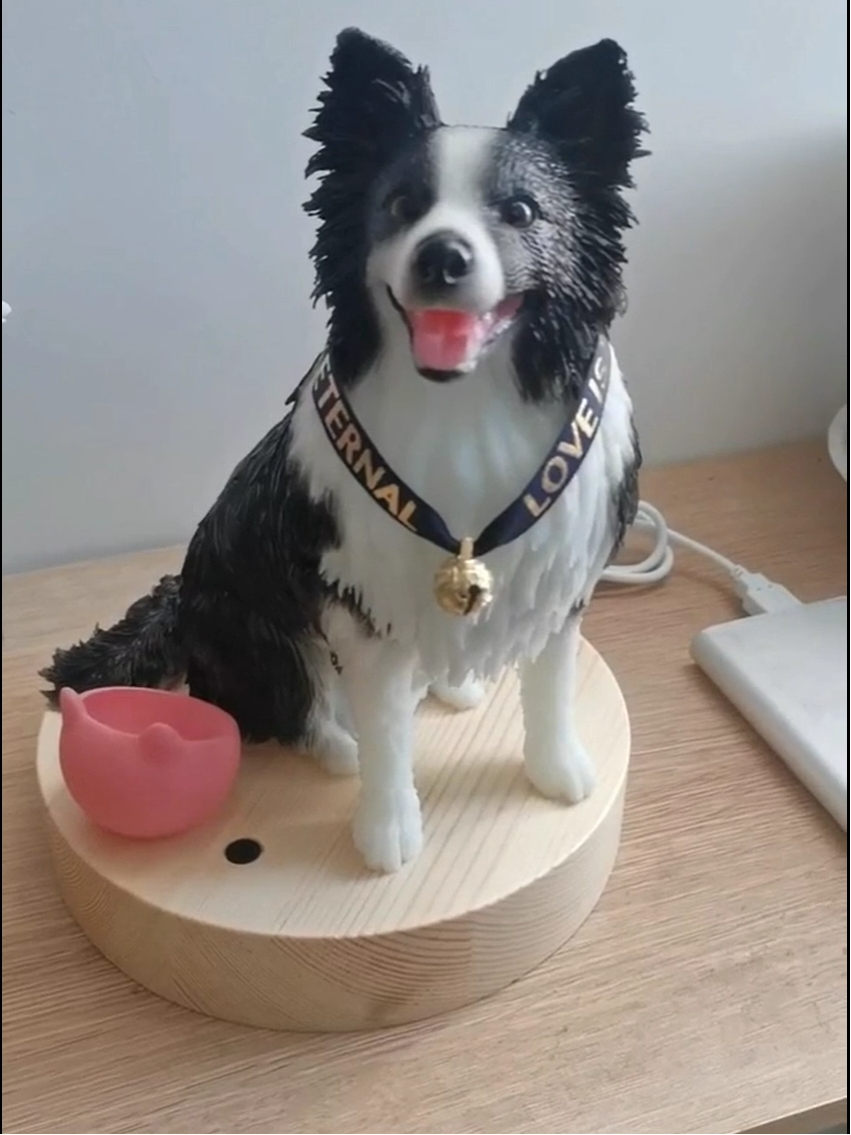 Pawimprint picks marvelous My Woolever Friend alternatives for pet lovers