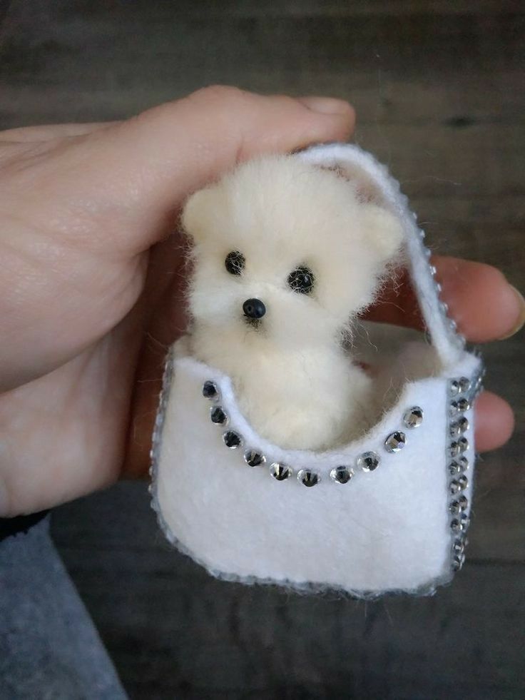 Thoughtful Gift Ideas by Occasion