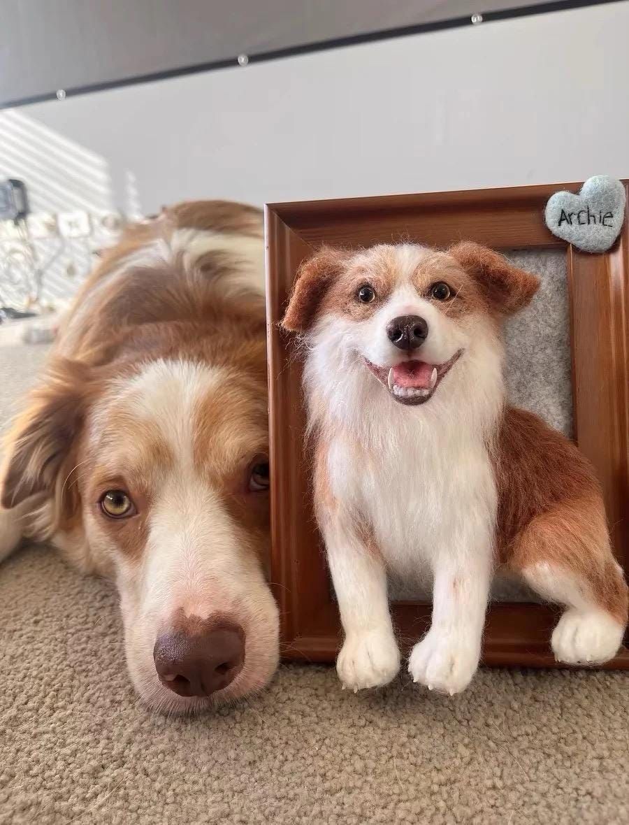 Personalized Gifts: Pet Wool Felt Portraits