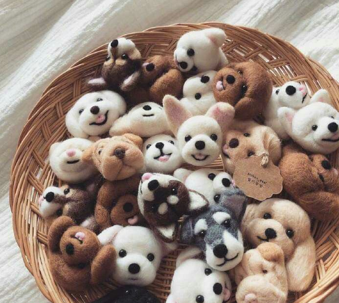 Personal Journeys with Bereavement Gifts for Dog Loss in 2025