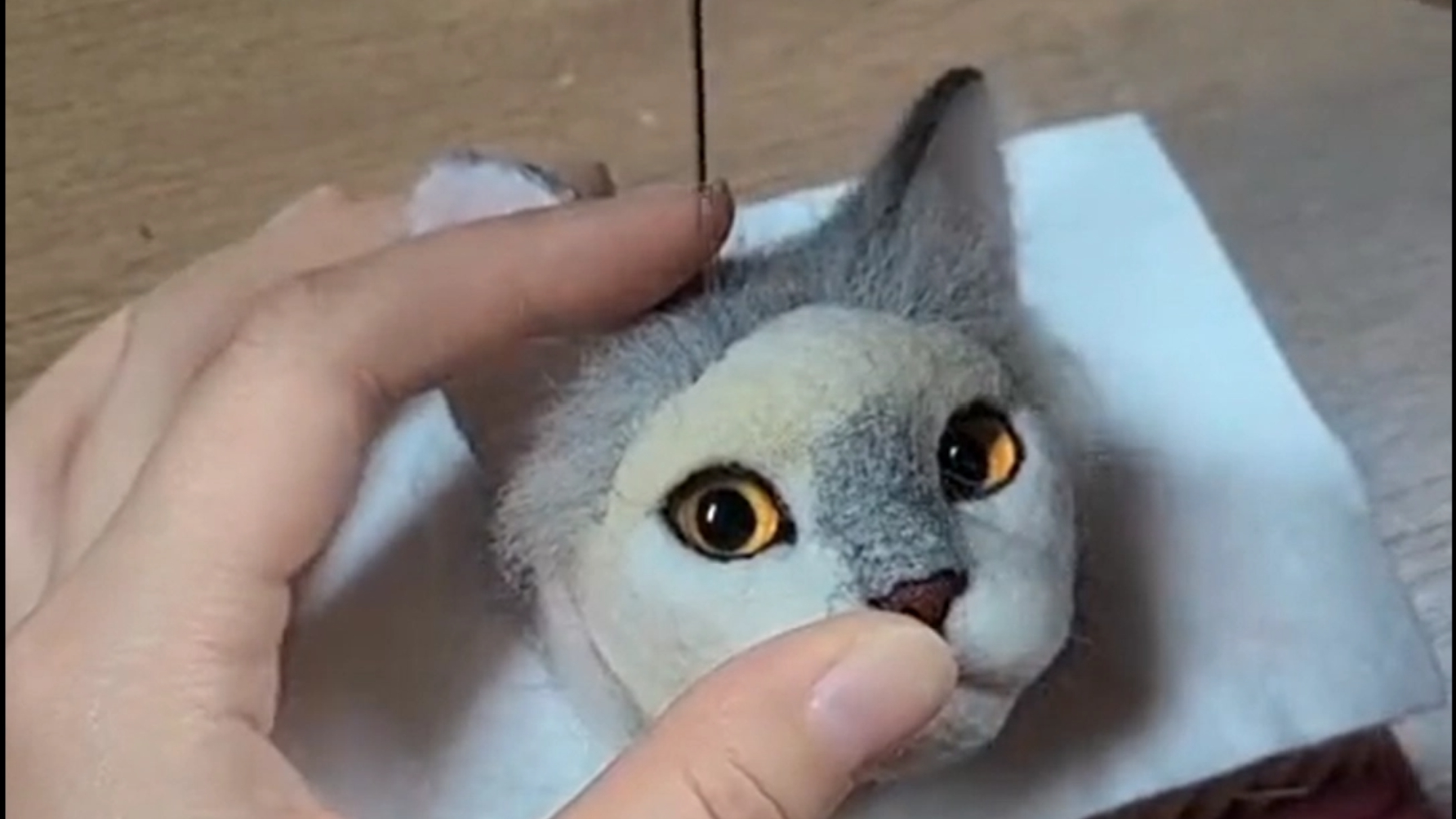 Creation Process