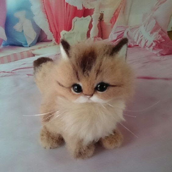 Types of Cat Memorial Gifts