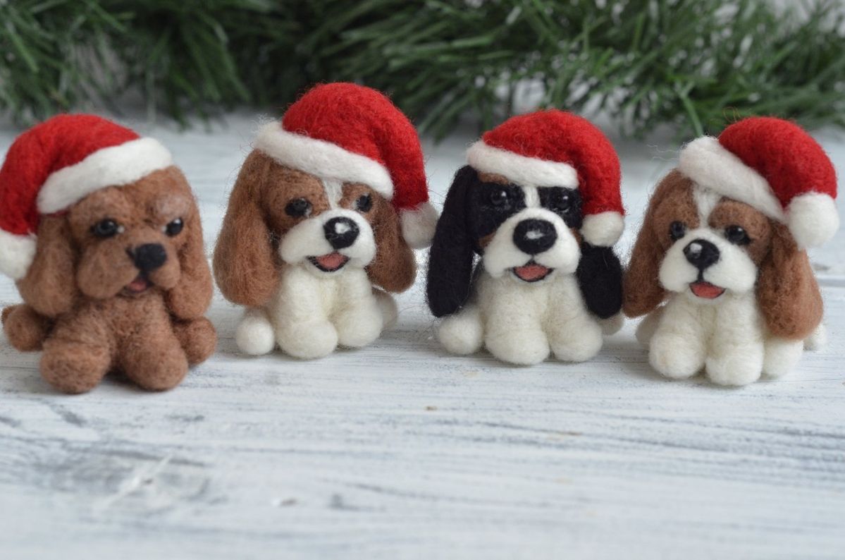 Holiday Gifts for Pets: Unique Ideas