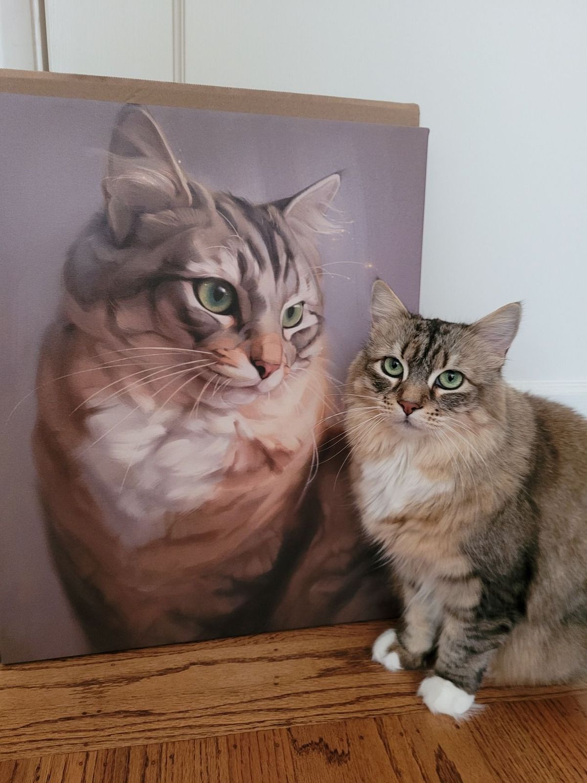 Define Your Pet Portrait Style