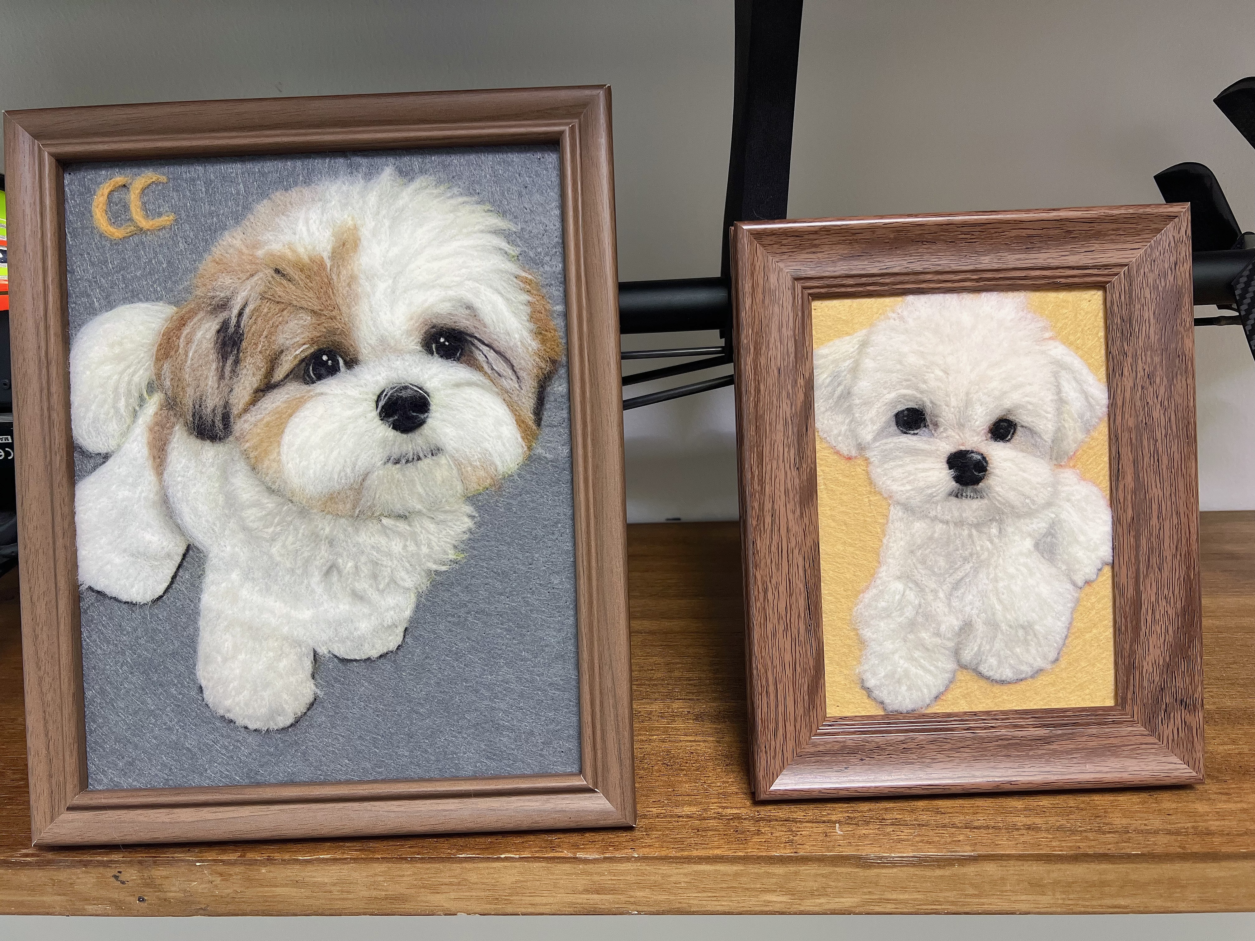 Handmade Custom Pet Wool Felt Portraits