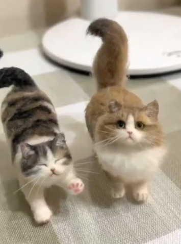 Types of Cat Memorial Gifts