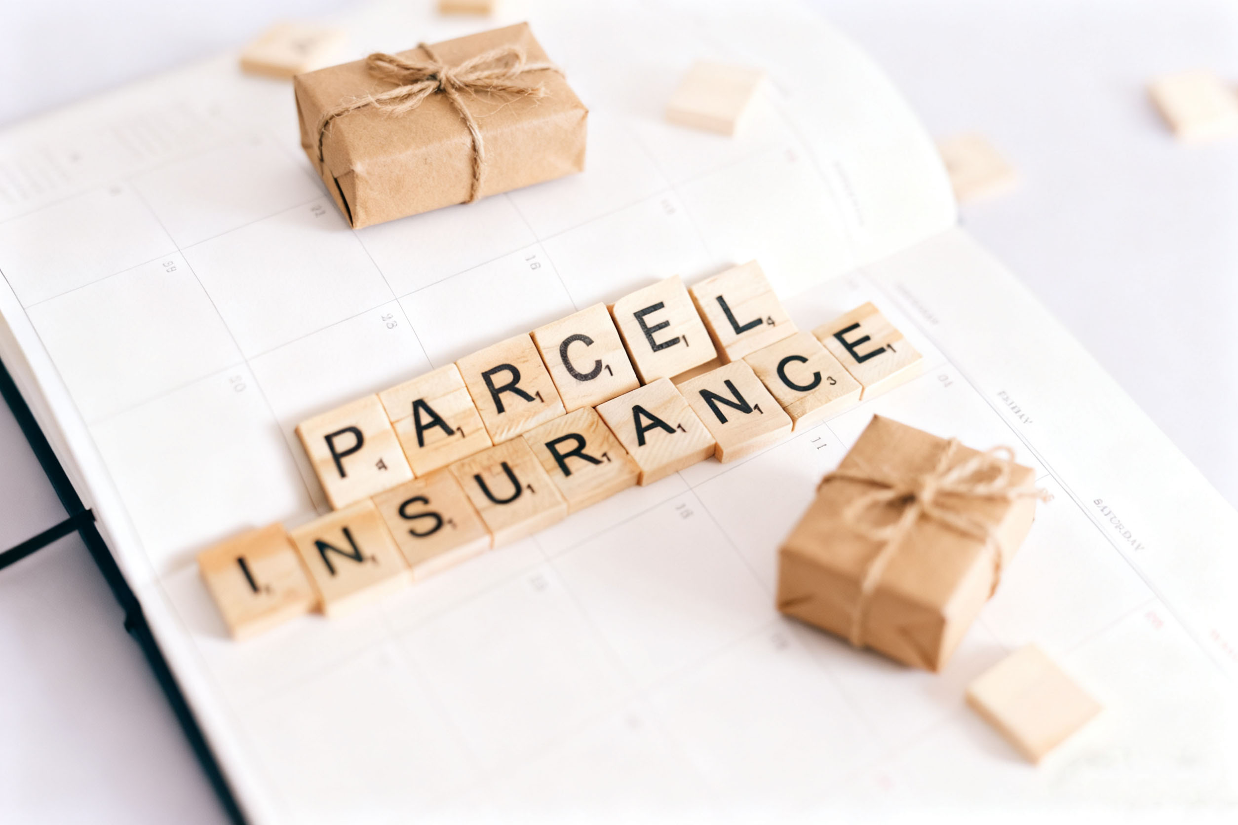 How to Decide Between a Freight Forwarder and a Direct Insurer