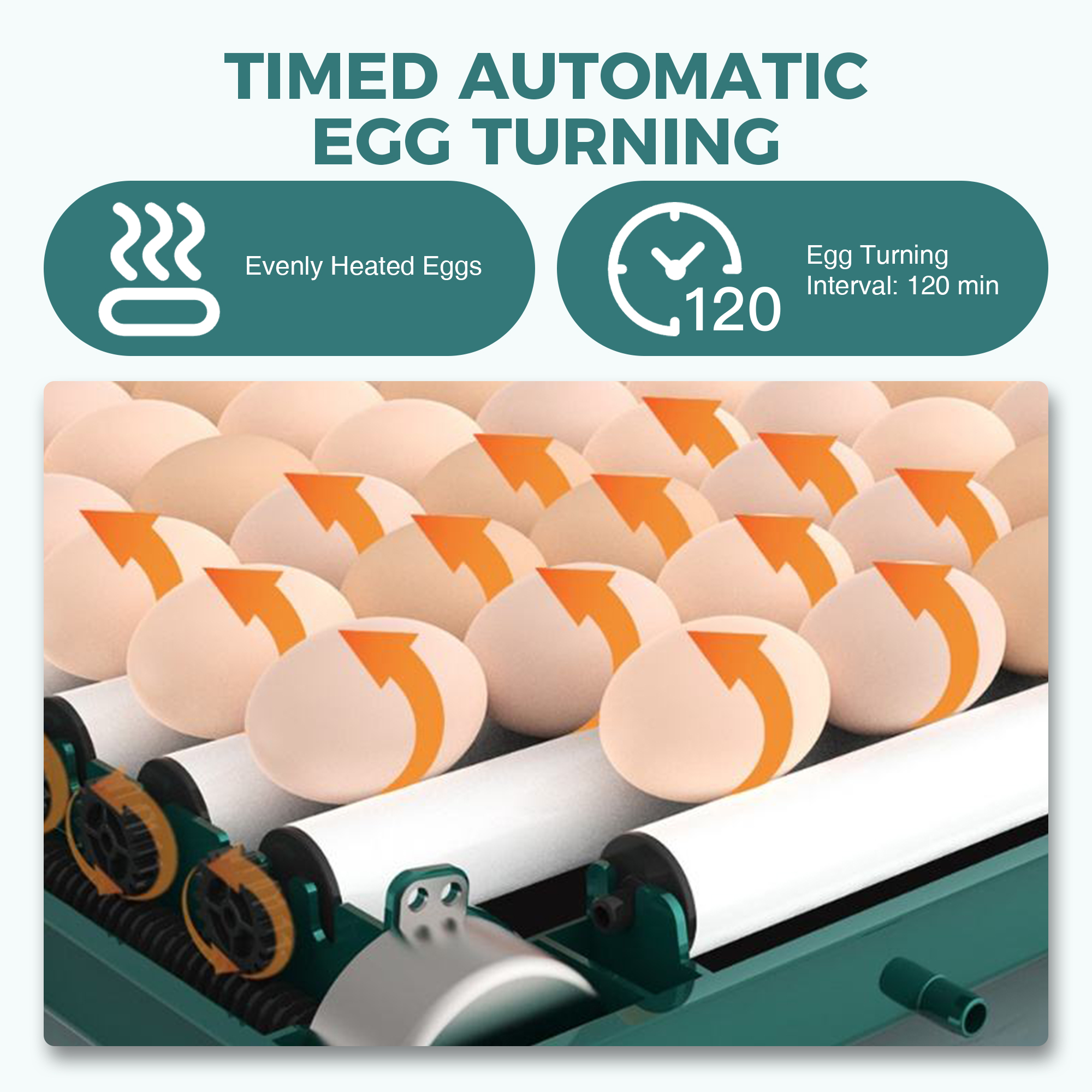 Features of Auto Turning Egg Incubator