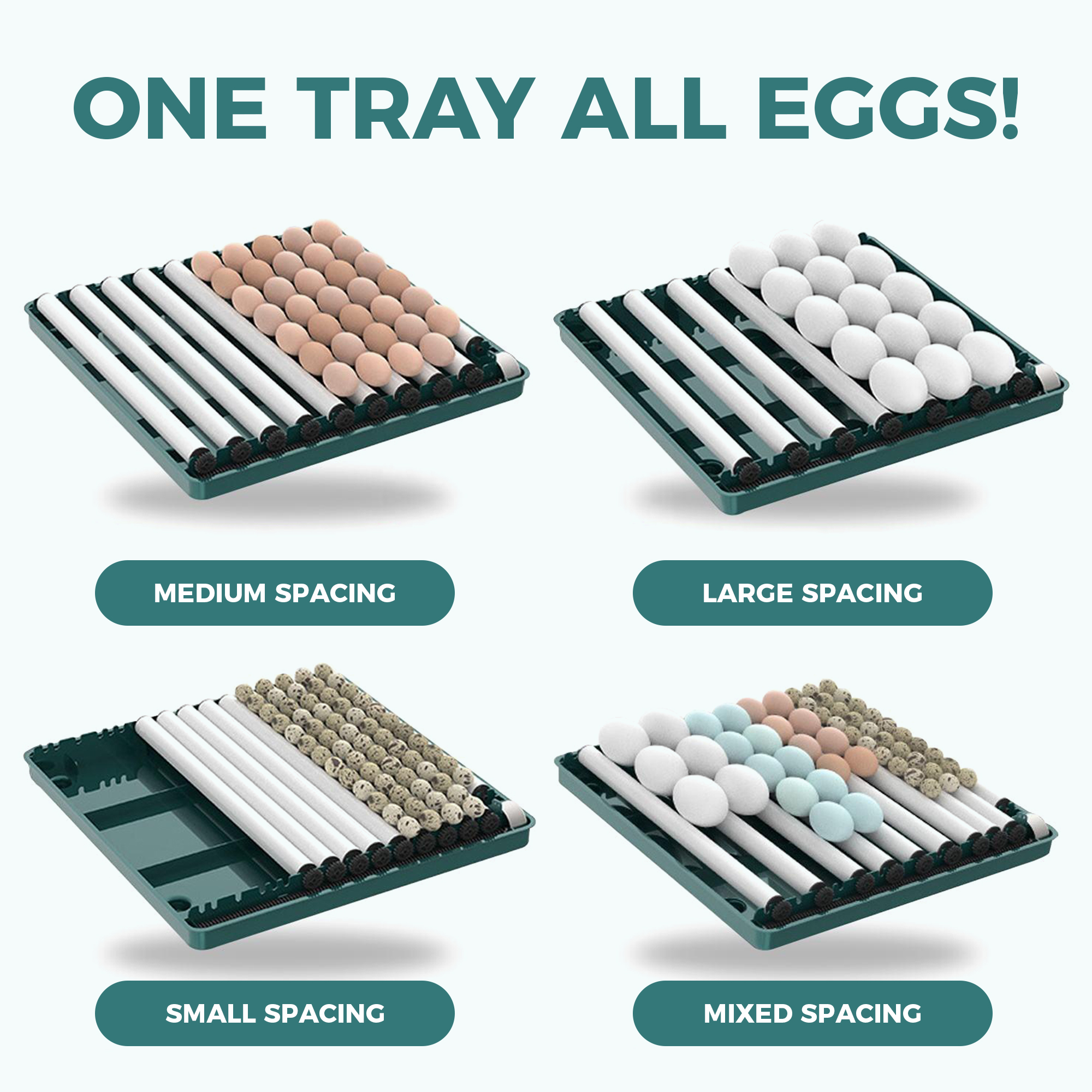 Adjustable Trays in Duck Egg Incubator