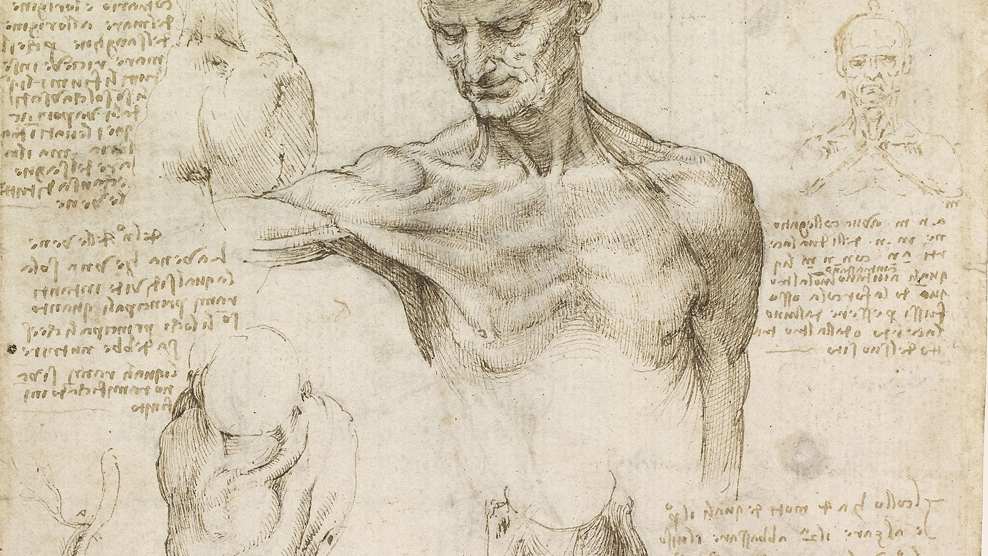 Leonardo. The Complete Drawings