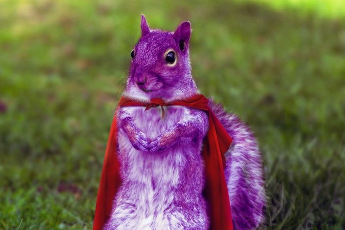 How to Find Your Purple Squirrel with an AI ATS in 2025
