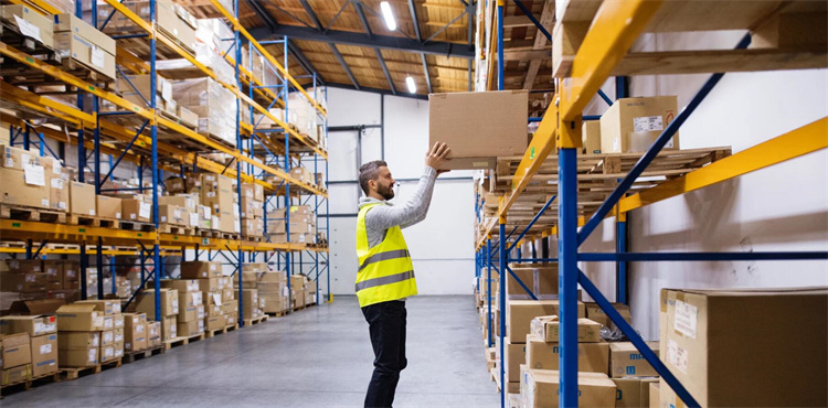 Cloud-Based and Industry-Specific WMS Solutions