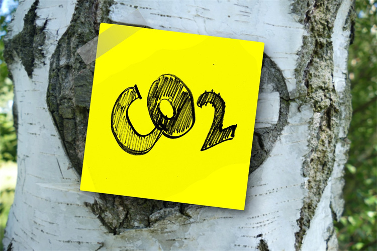 Resource Integration for Lower Supply Chain Carbon Footprint