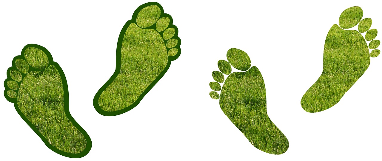 Step-by-Step Plan for Carbon Reduction in Logistics