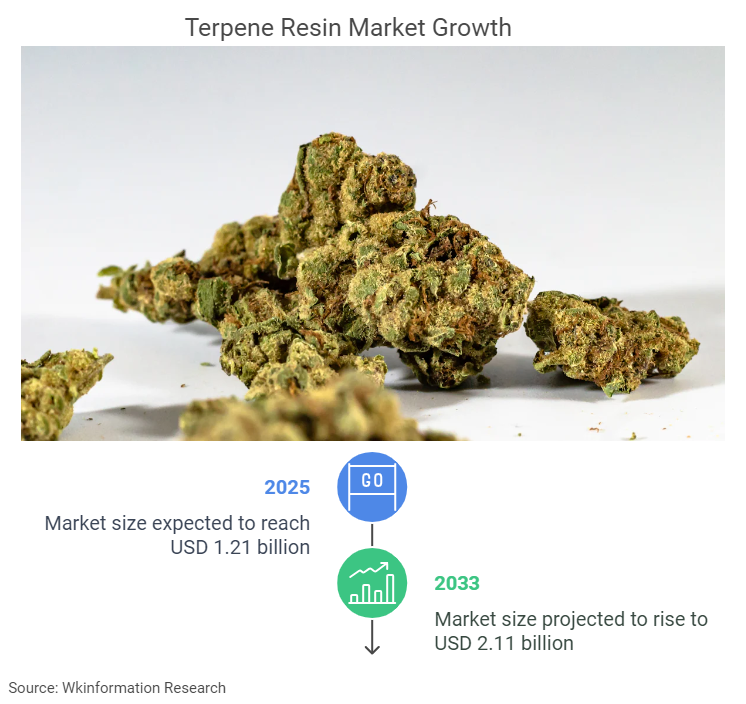 Terpene Resin Market Size