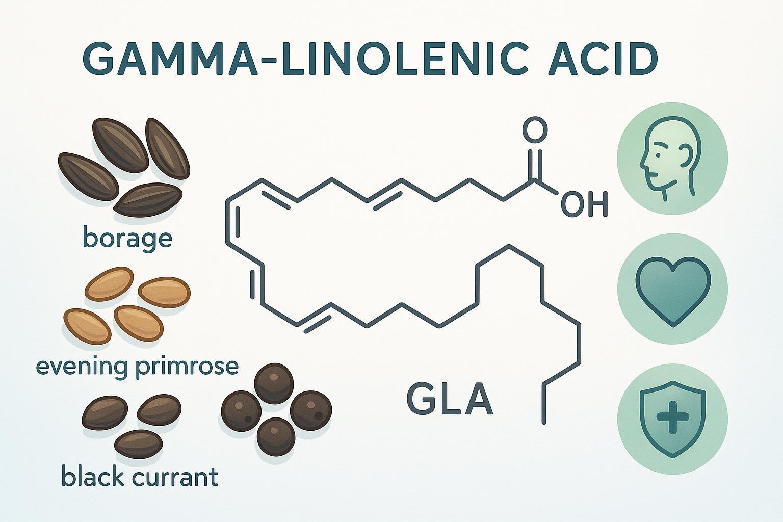 Plant oils and GLA molecular diagram depicting benefits for skin, heart, and immune health.