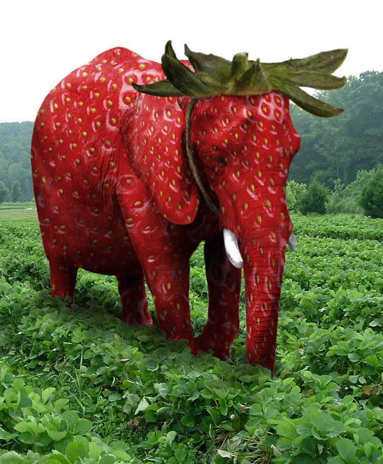 Strawberry elephant sound effect