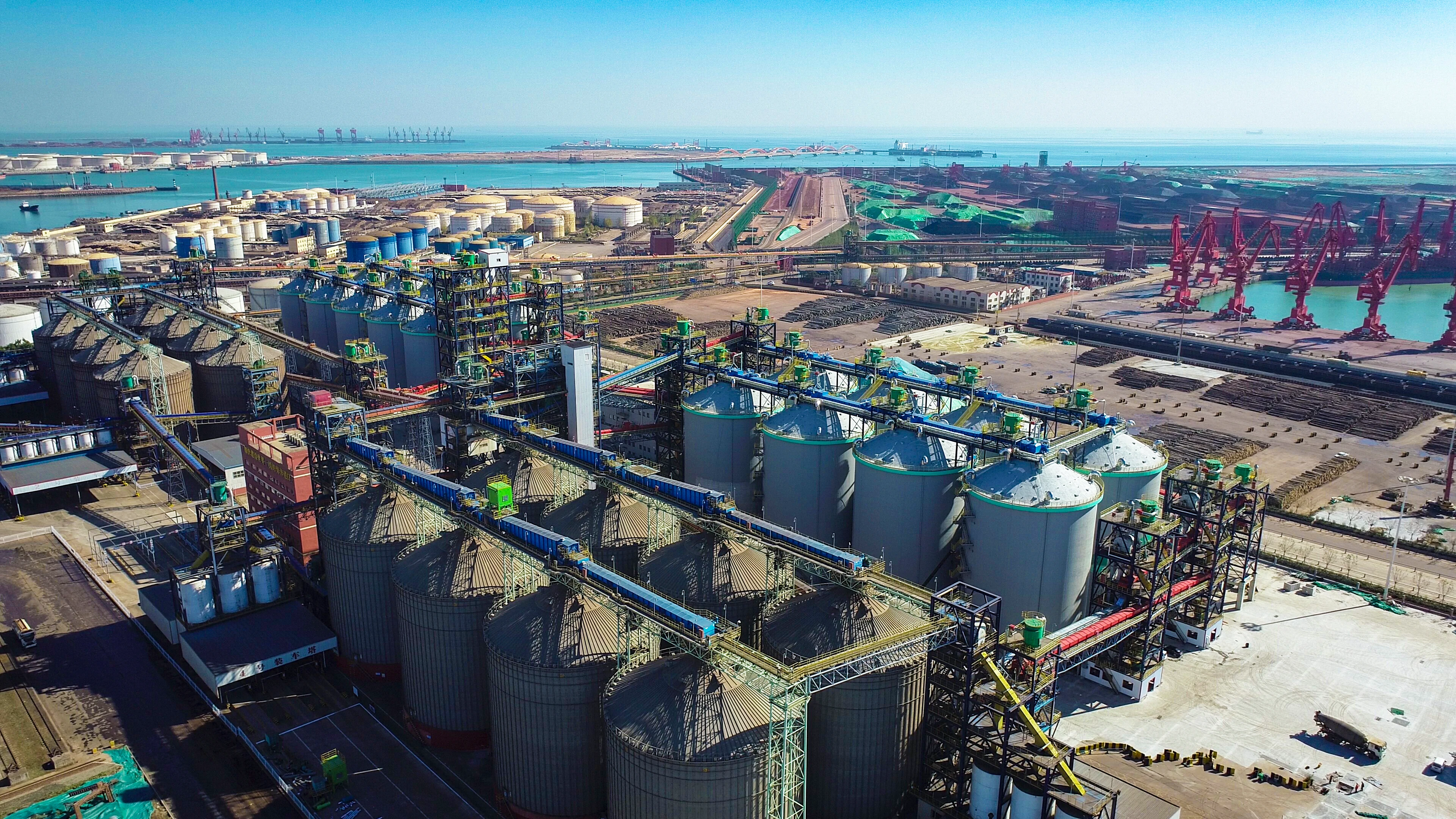 Port crane throughput: what owners audit