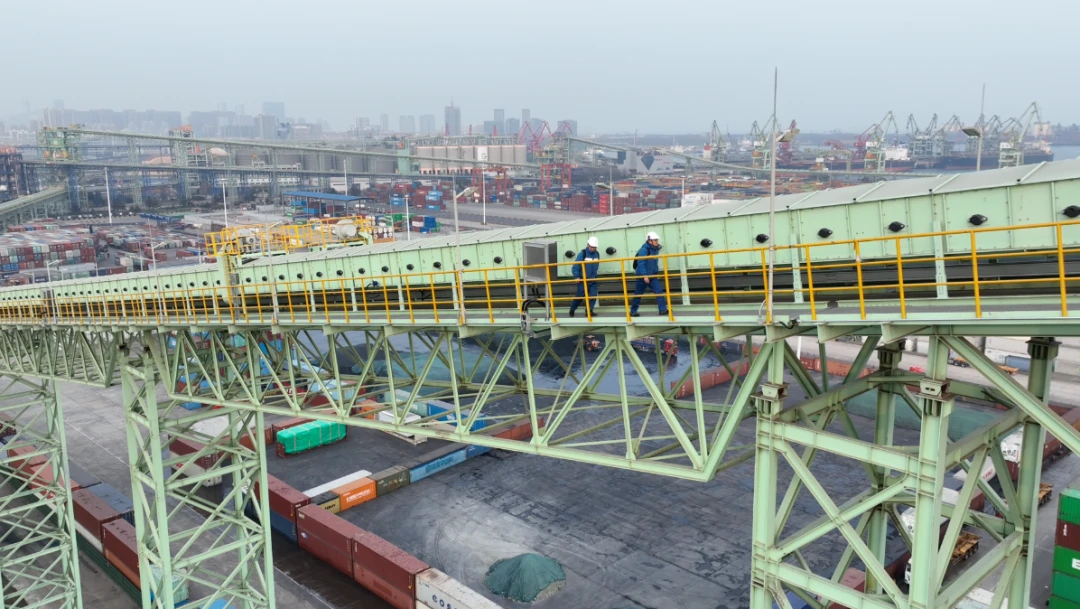 Ship crane speed vs safety: where is the limit?