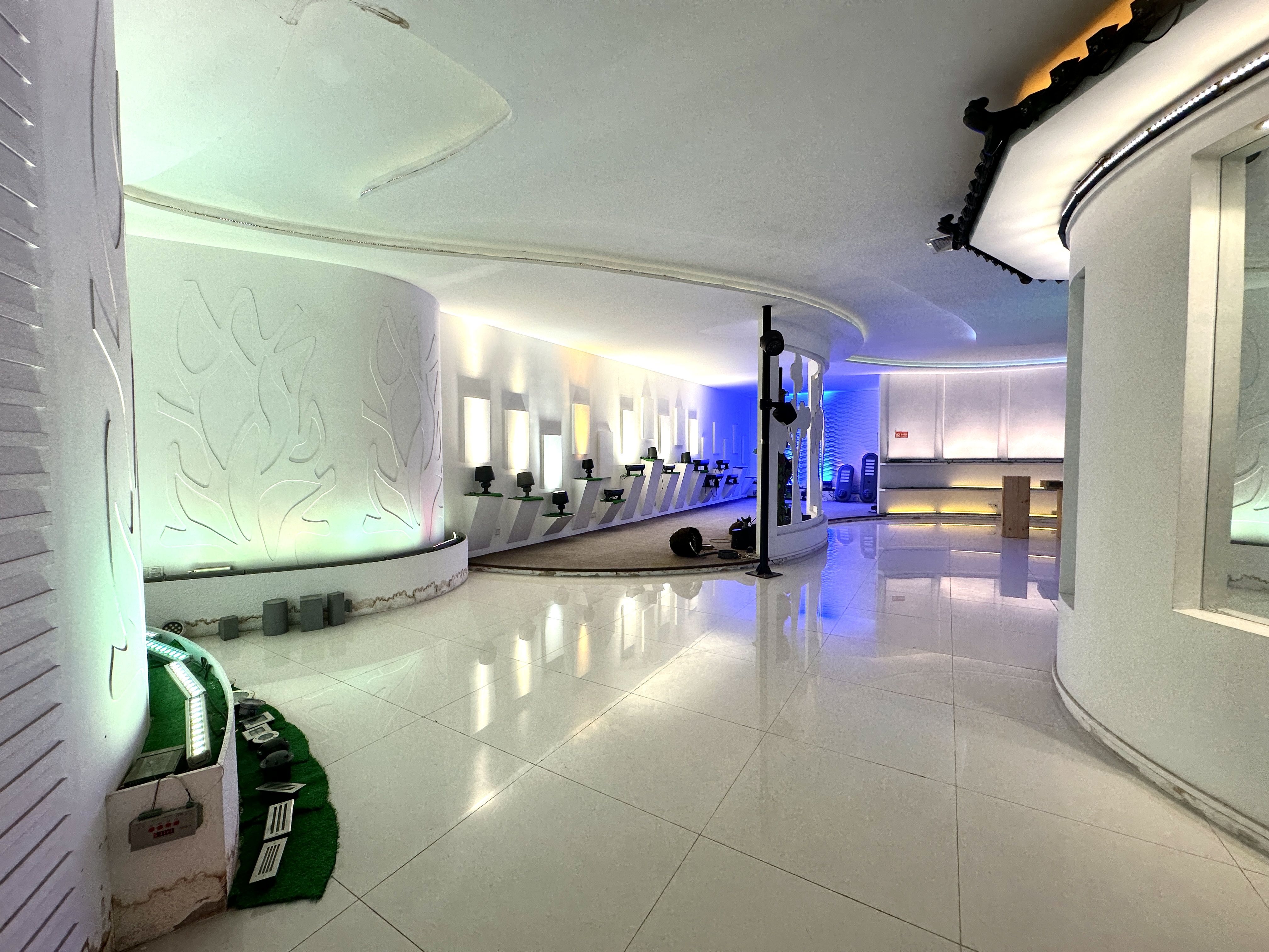 The Solution: Customized LIYINLED Lighting Design