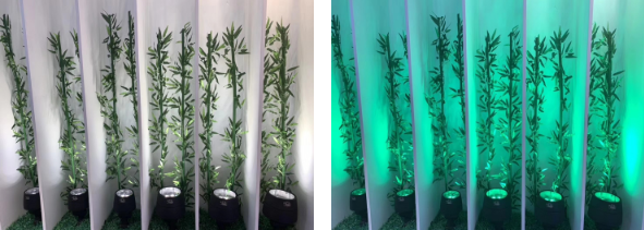 Wall-Mounted Security Lights