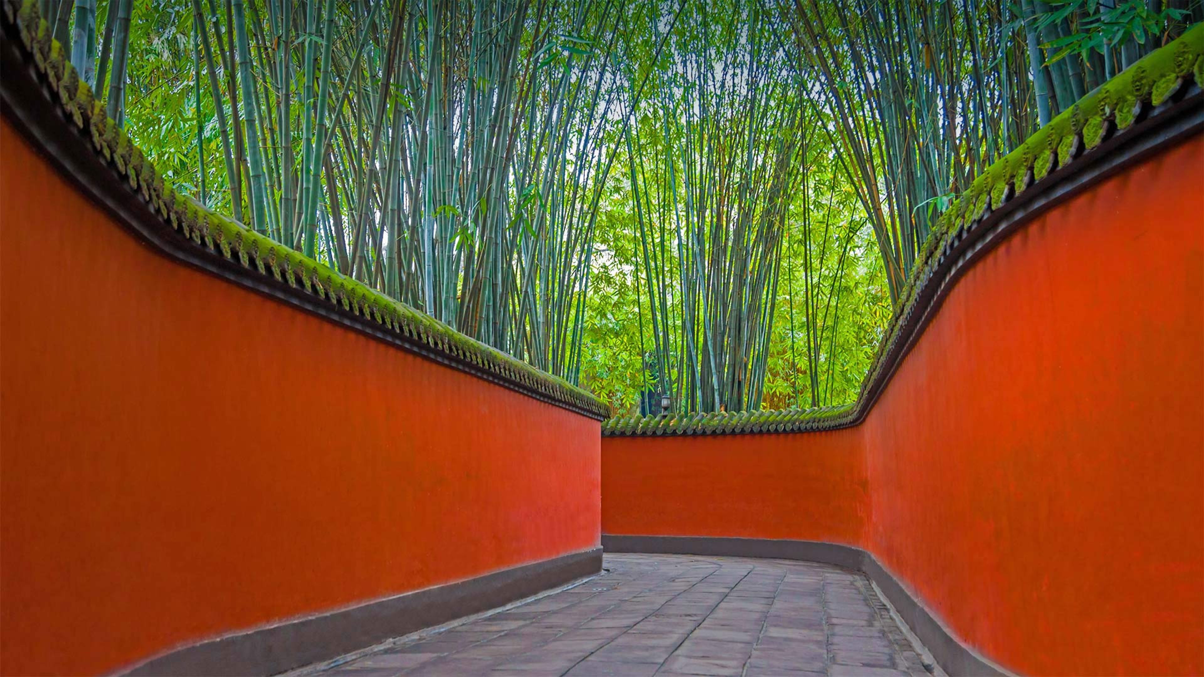 Must-See Spots at Wuhou Temple