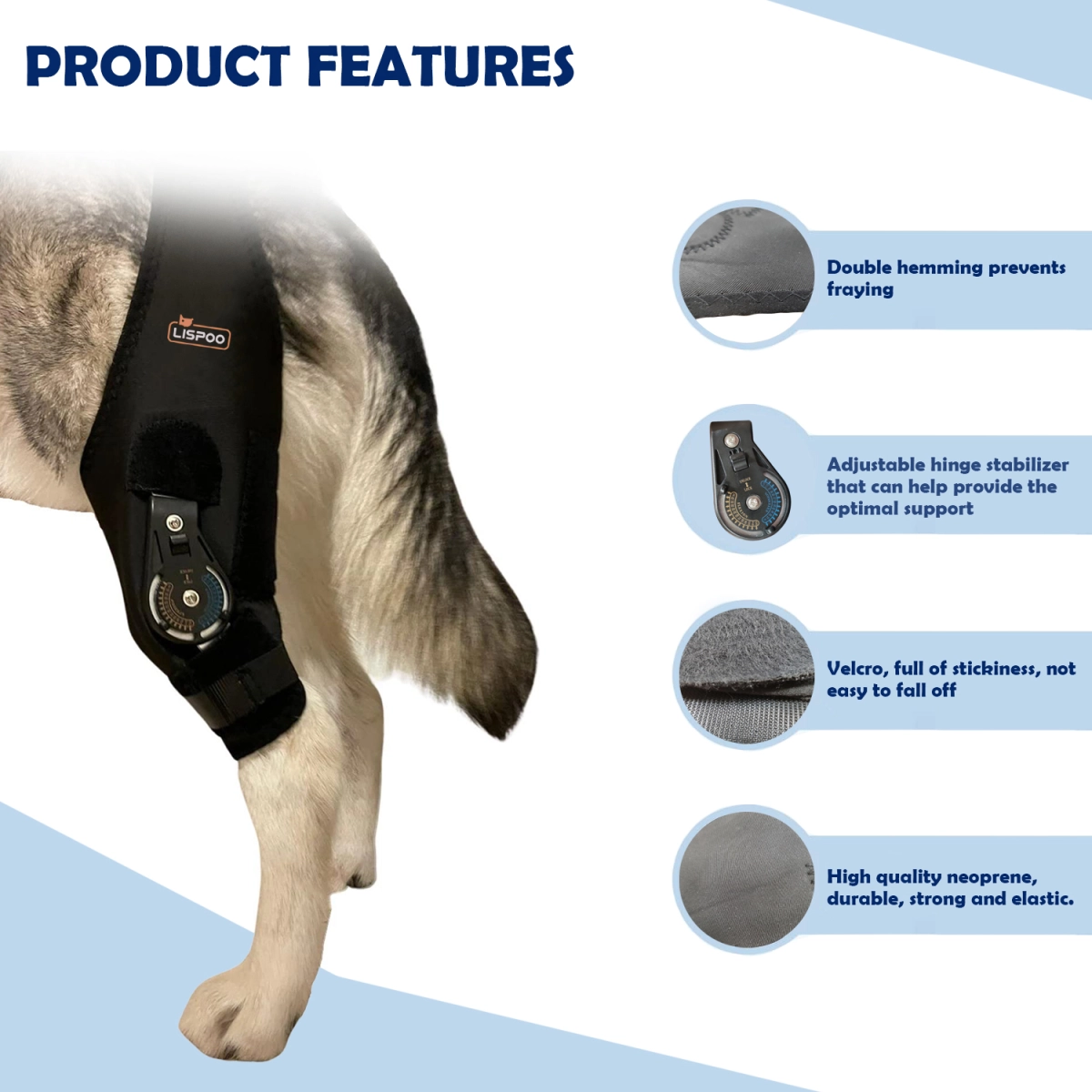 Custom Dog Knee Braces