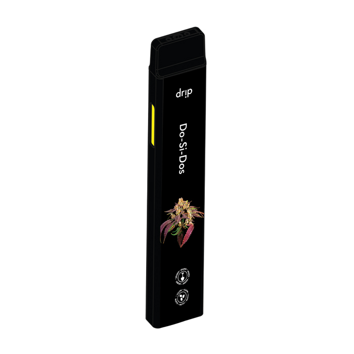 Timeless Vape 2G vs Drip 2G Disposable Vape: Product Design and Buyer Appeal
