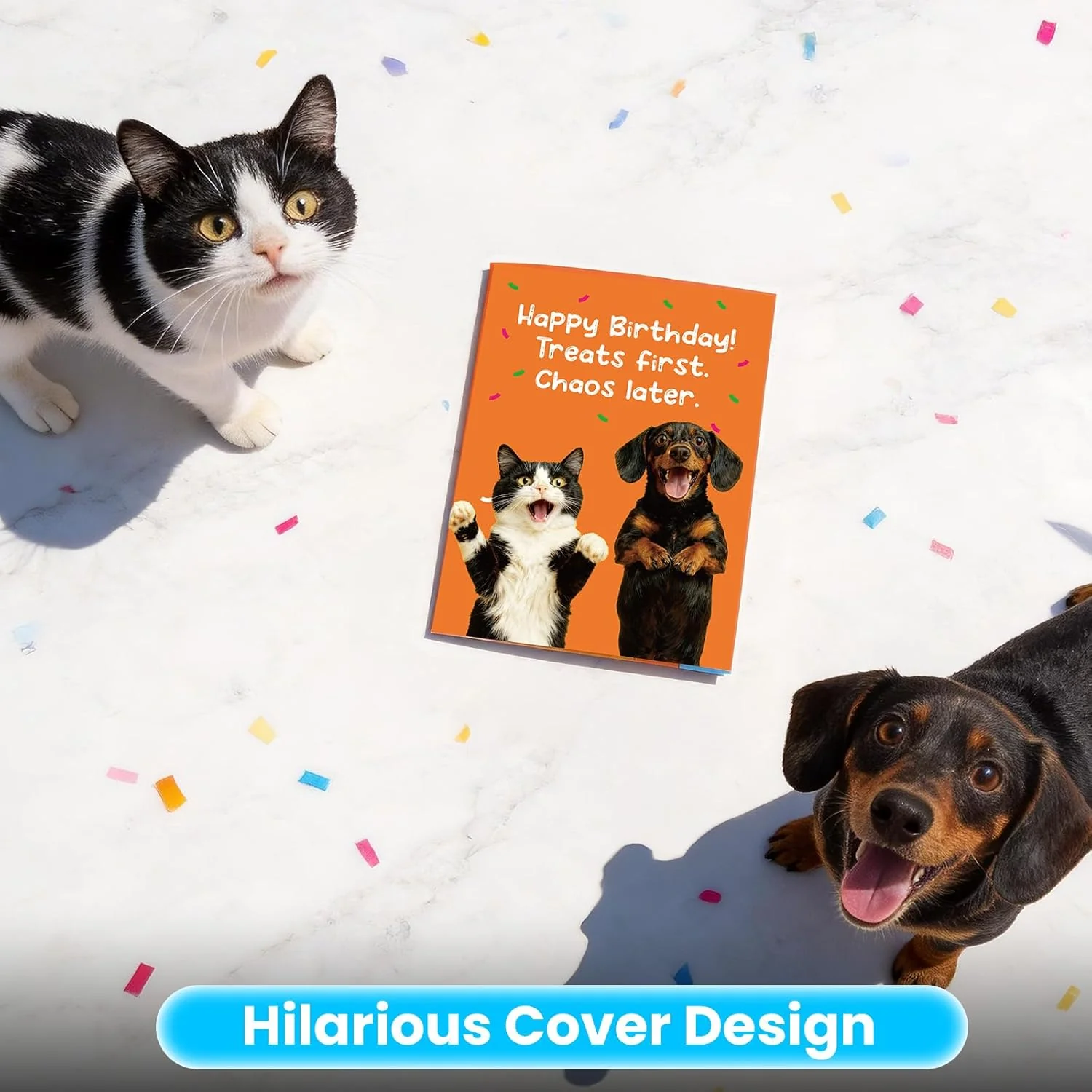10 Hilarious Birthday Cards Every Pet Parent Needs in 2026