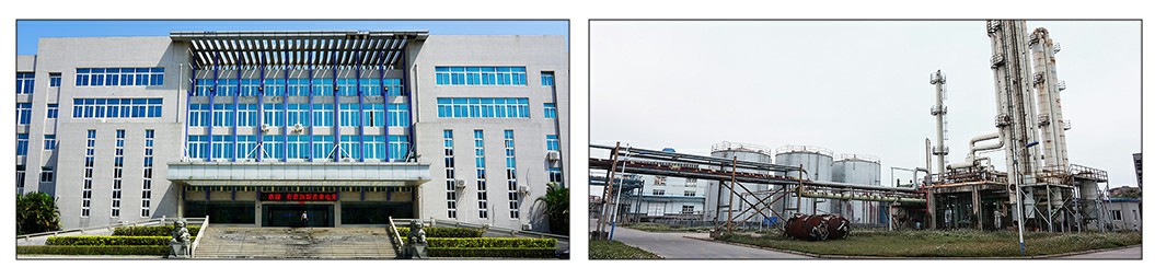 news-720-174 news-720-174