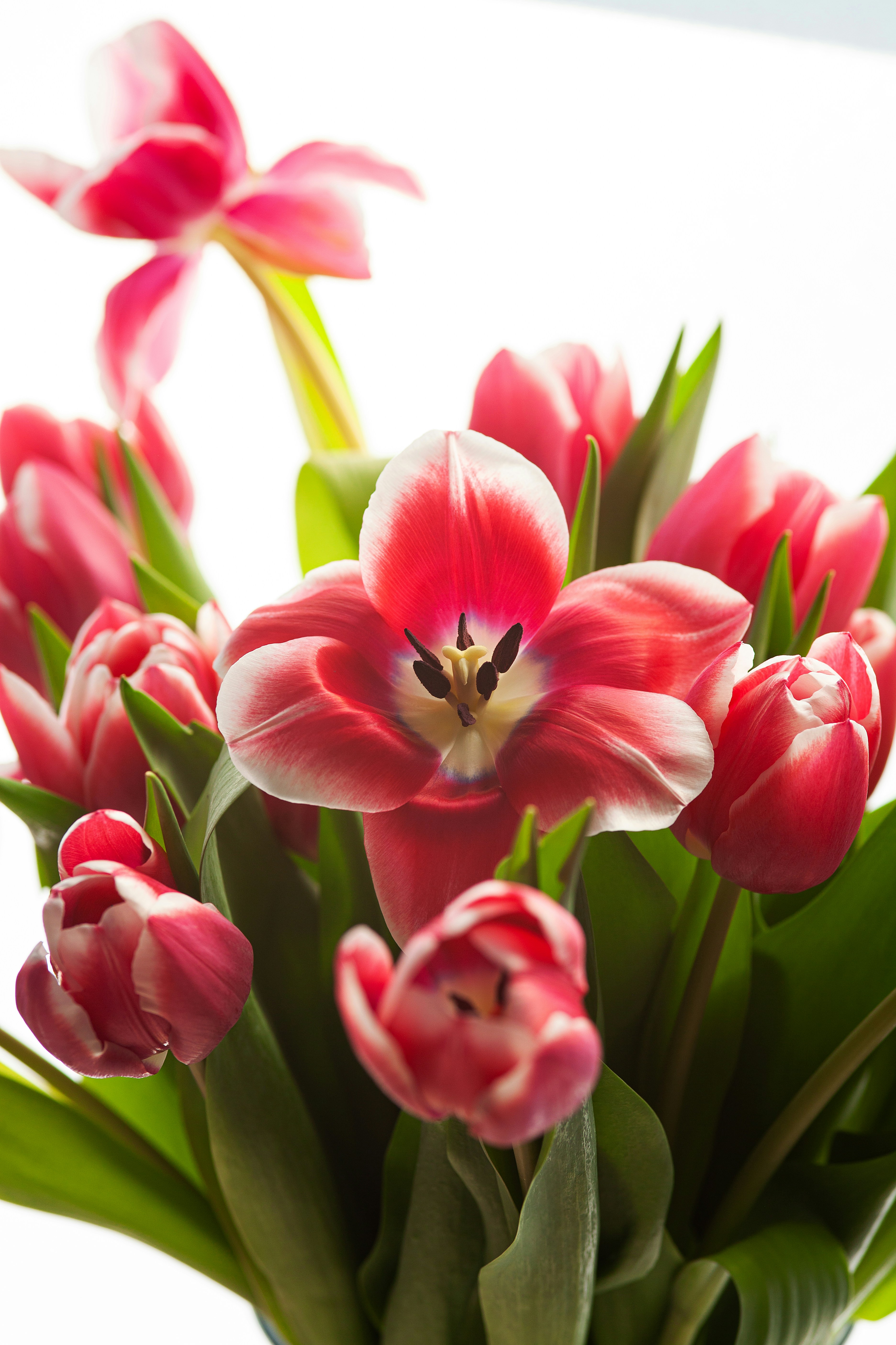 Managing Body Odor Naturally with Zinc and Mandelic Acid