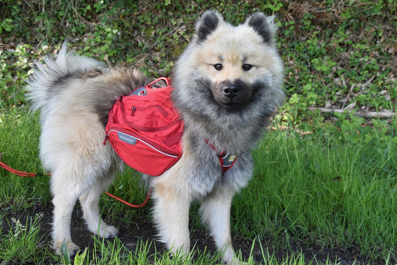 Mistakes, fit checks, and troubleshooting