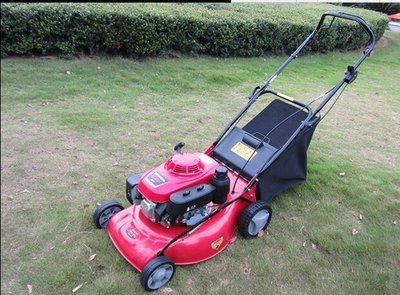 The Rise of Brushless Motors: How They Work and Revolutionize Garden Tools