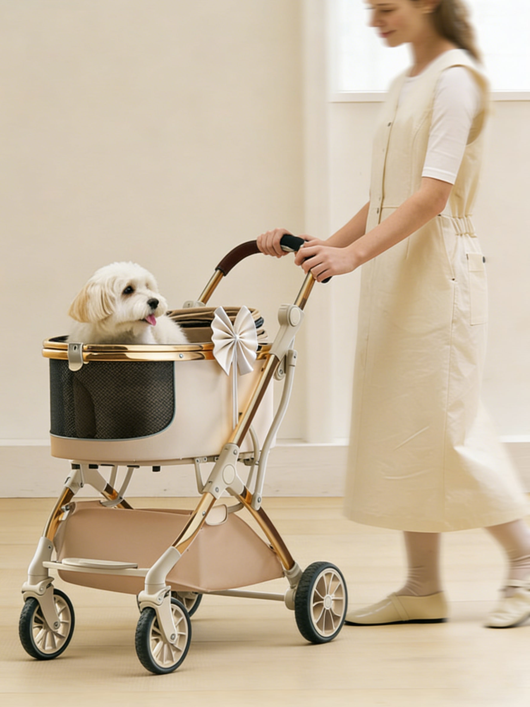 Is it worth getting a pet stroller for a healthy dog?