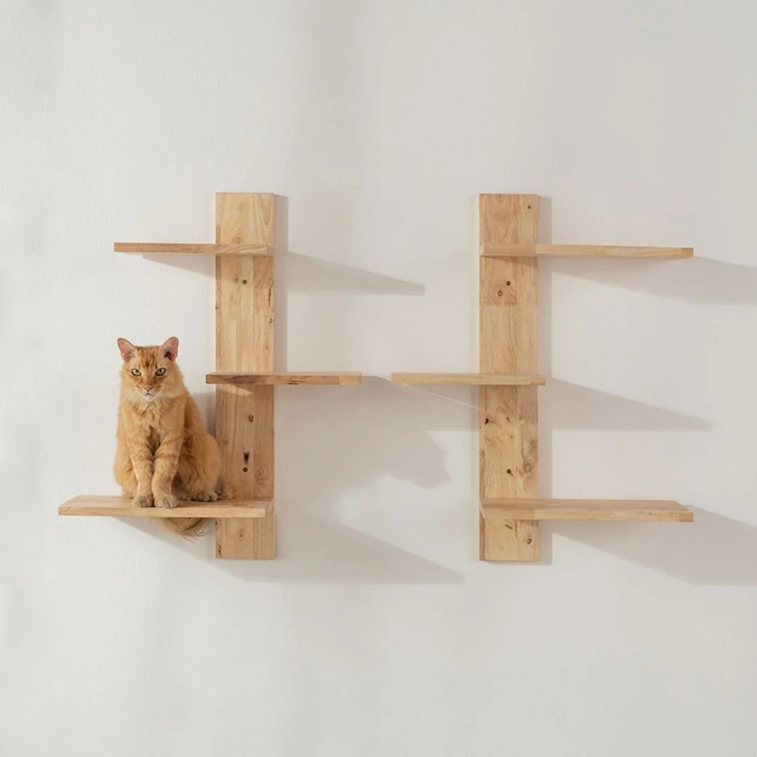 Regular Maintenance for Cat Trees