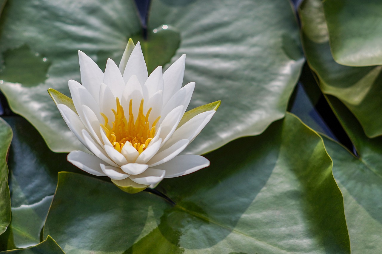 How Spiritual Practices Contribute to Spiritual Growth