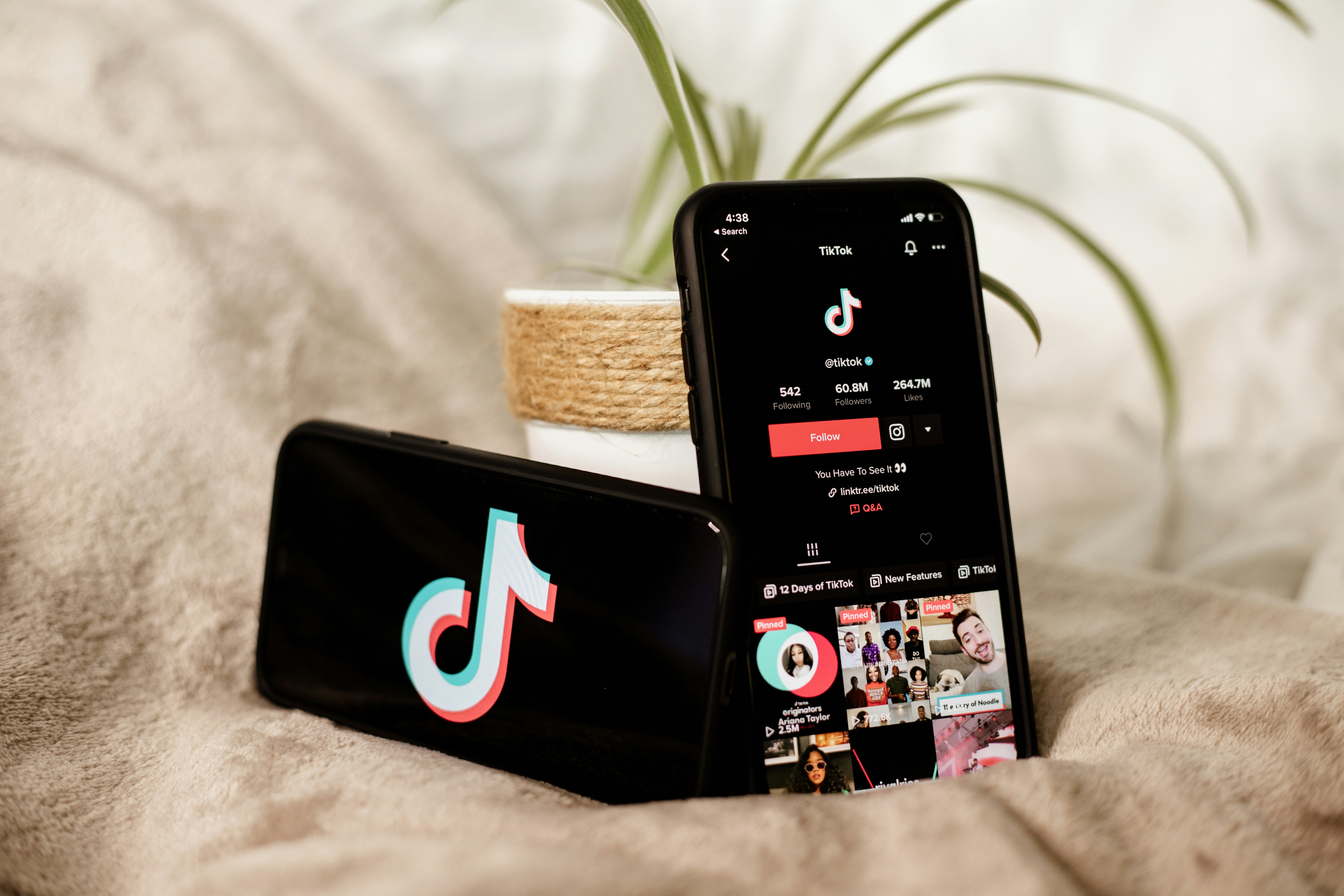 Managing Influencer Expectations in Affiliate Campaigns with Rolinko