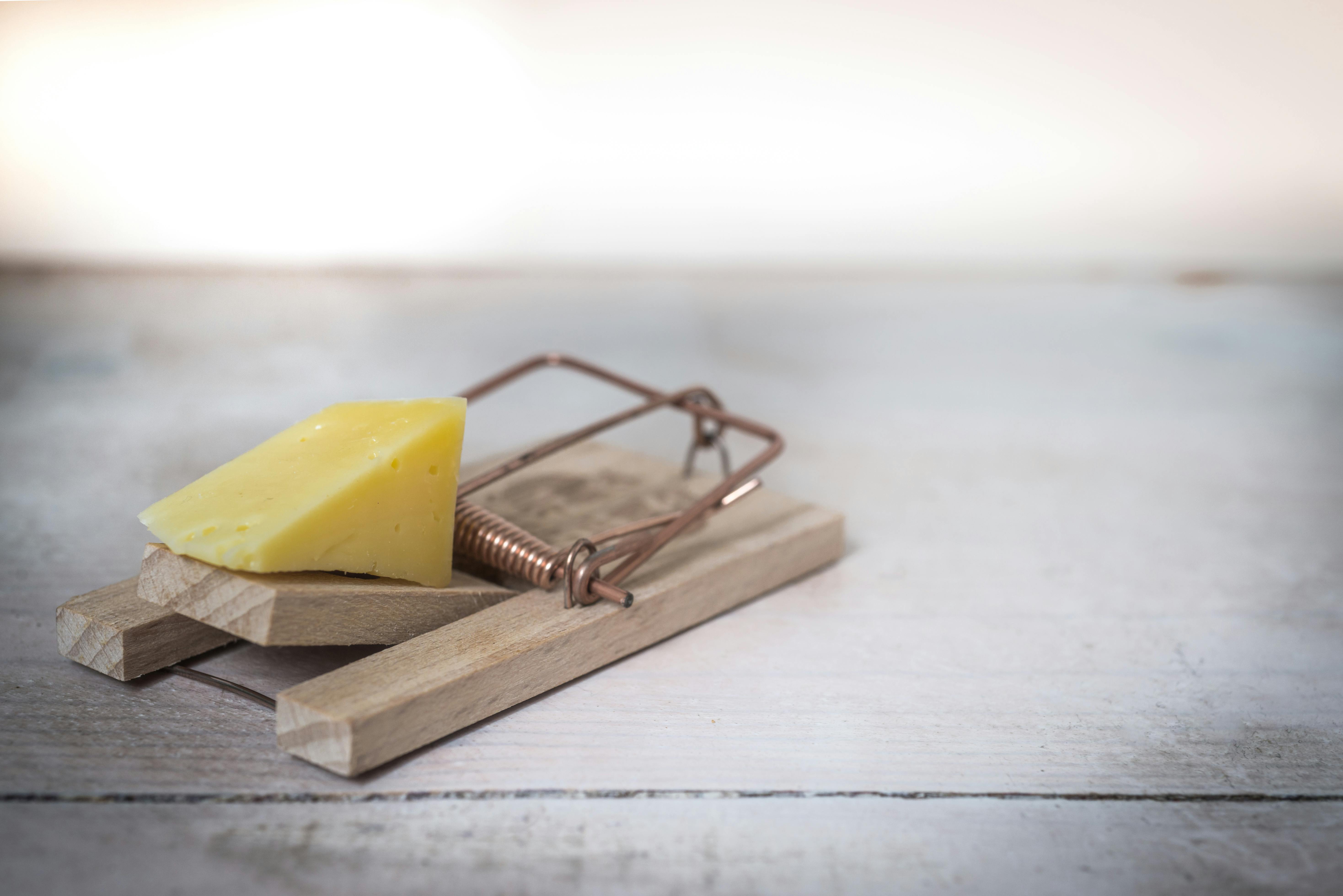 The 5 Common Traffic Traps for Global Brands — and How Affiliate Marketing Helps You Avoid Them