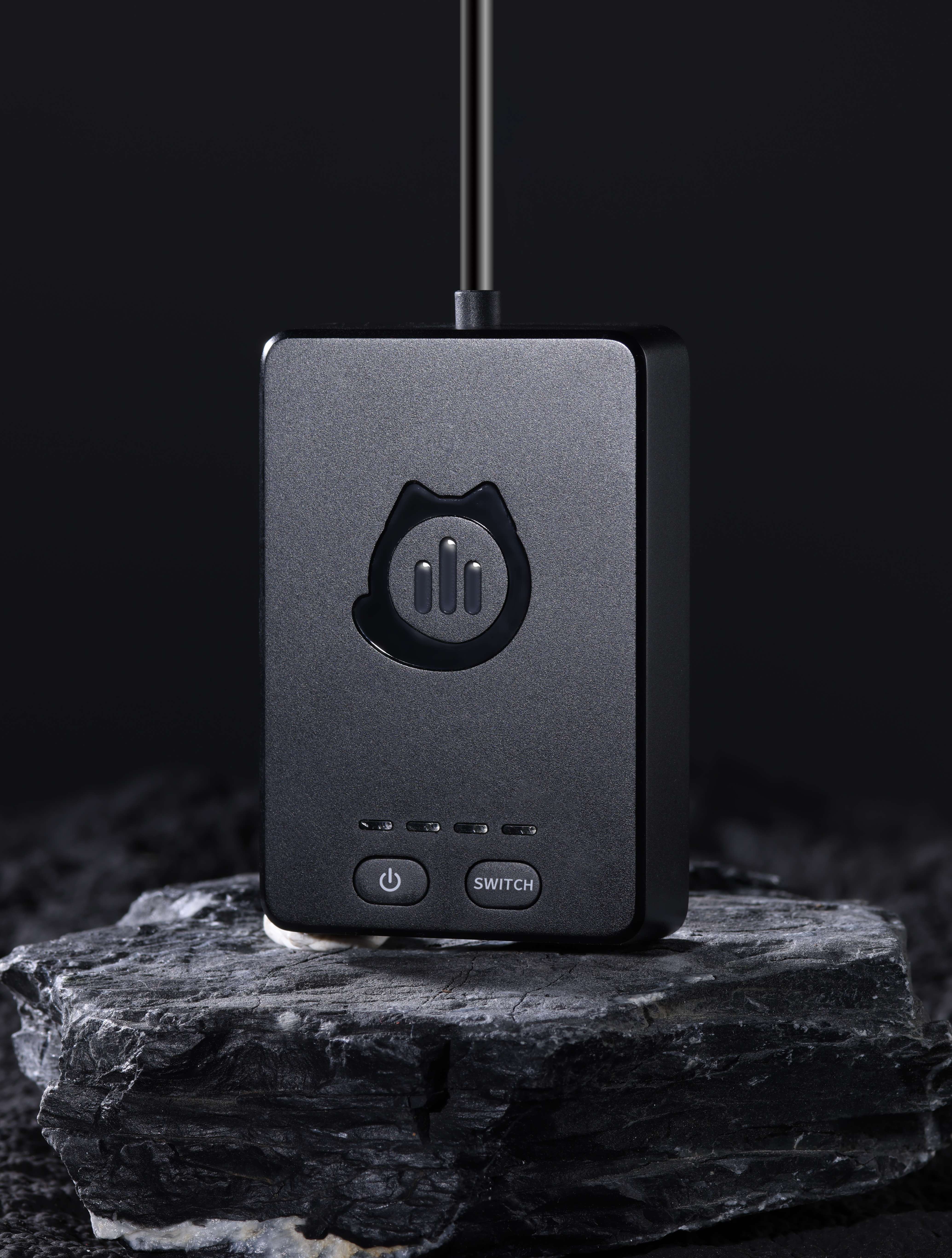 PS5 Console Voice changer