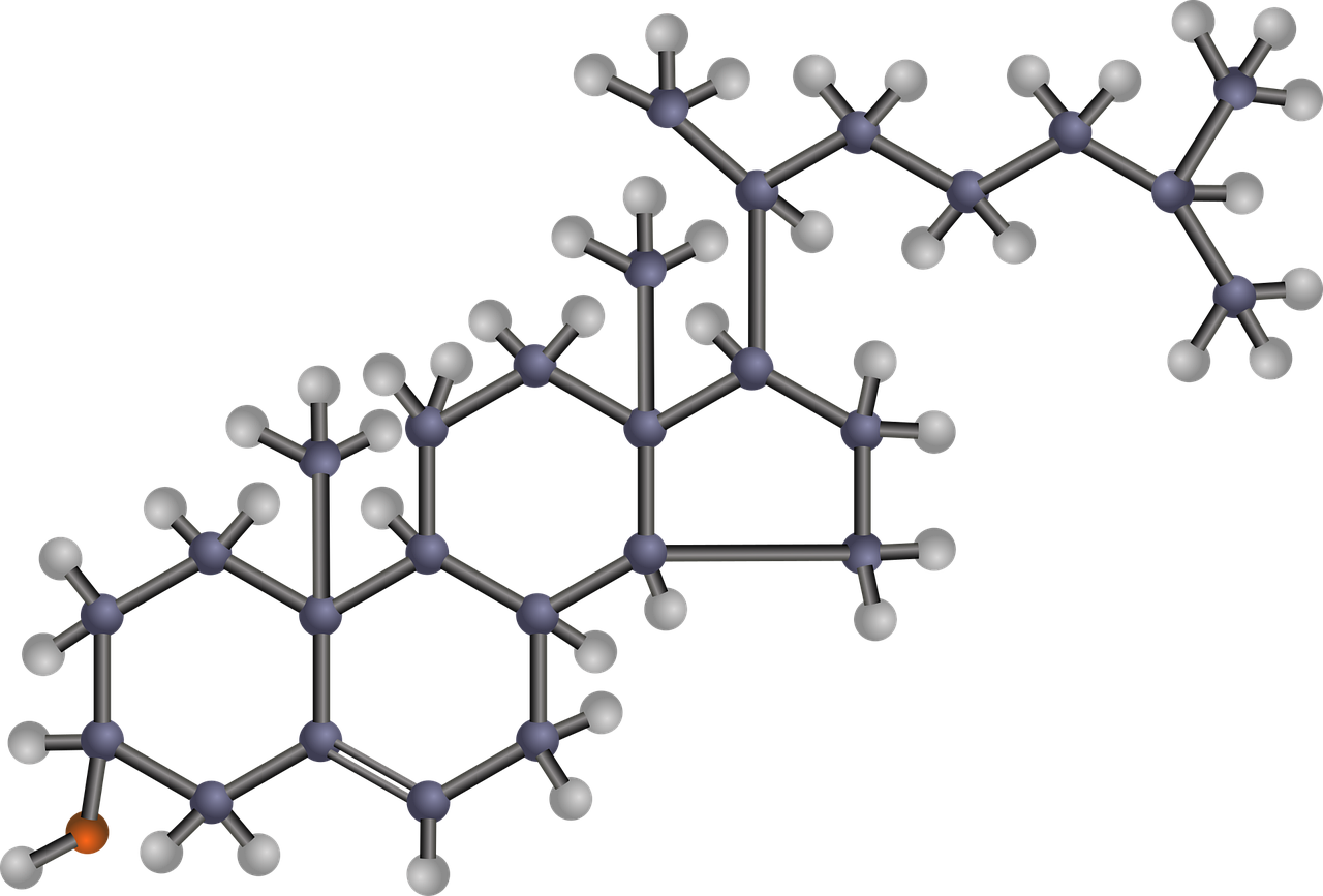 Hormonal Mechanisms in Cancer