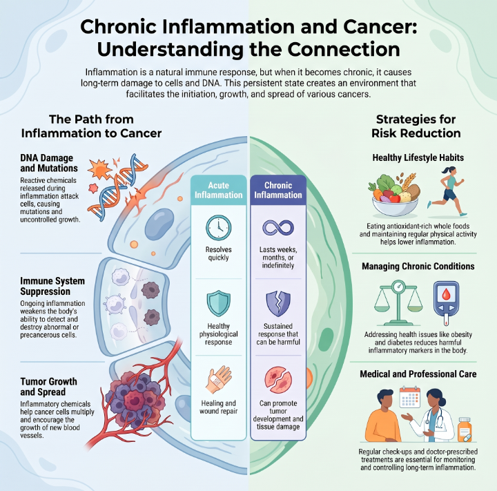 Why Chronic Inflammation Raises Your Cancer Risk