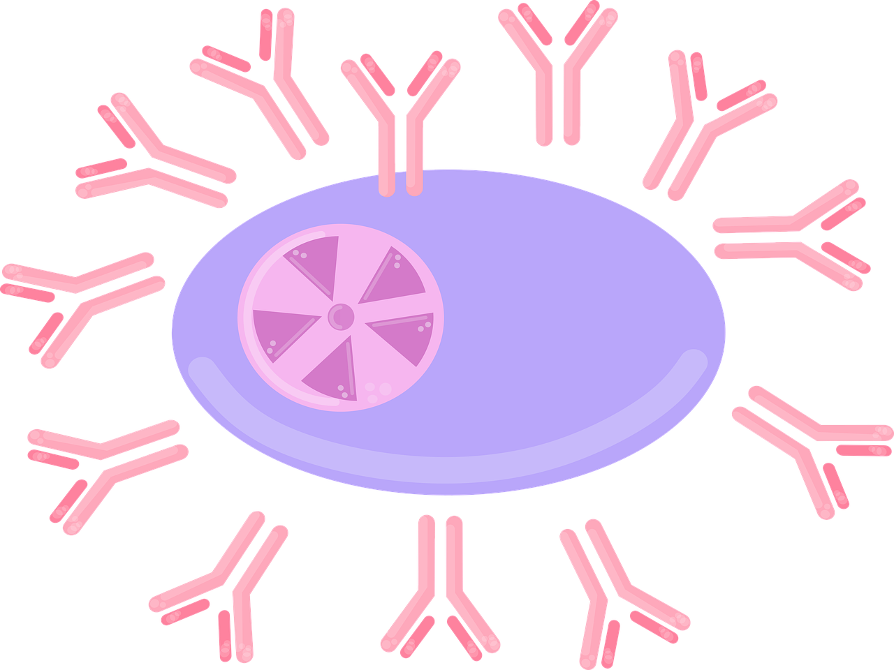 What Are Gastrointestinal Stromal Tumors (GIST)?